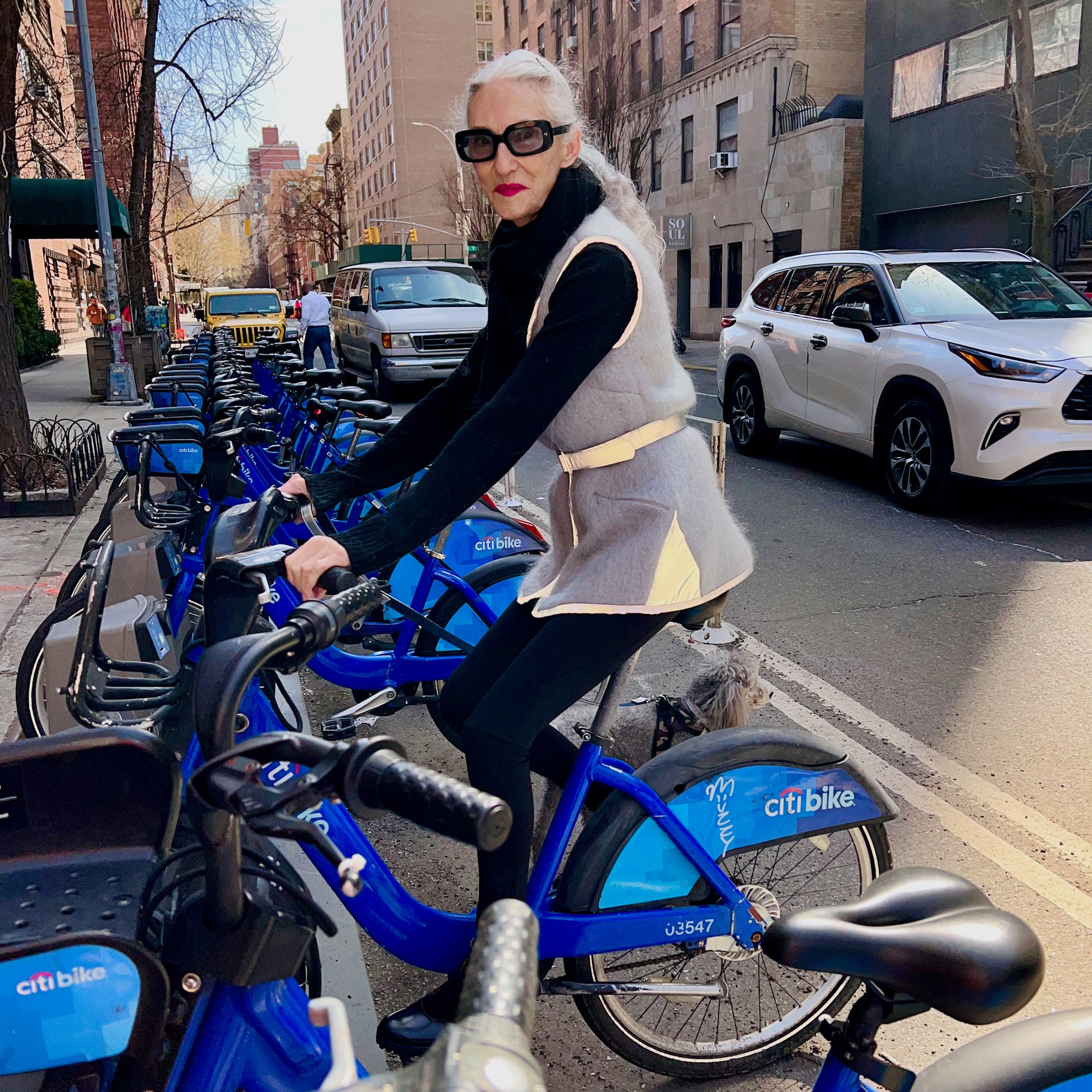 @lindaandwinks IG influencer Linda Rodin and silver poodlle in Vespertine NYC mohair sweater reflective vest
